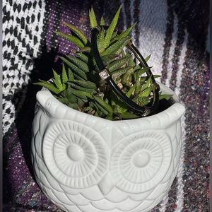 Cute, black and gold bangle bracelet with clear stone embellishments